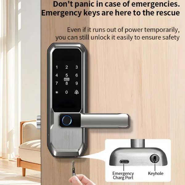 DL30 Smart Fingerprint Door Lock with Keypad, RFID Card and Tuya App