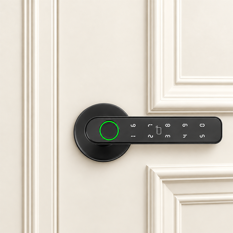 5-in-1 Smart Door Handle Lock with Fingerprint, Password, RFID Card and Tuya App