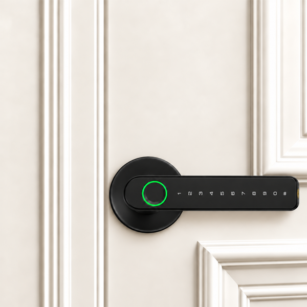Smart Fingerprint Door Lock with Tuya and Smart Life App
